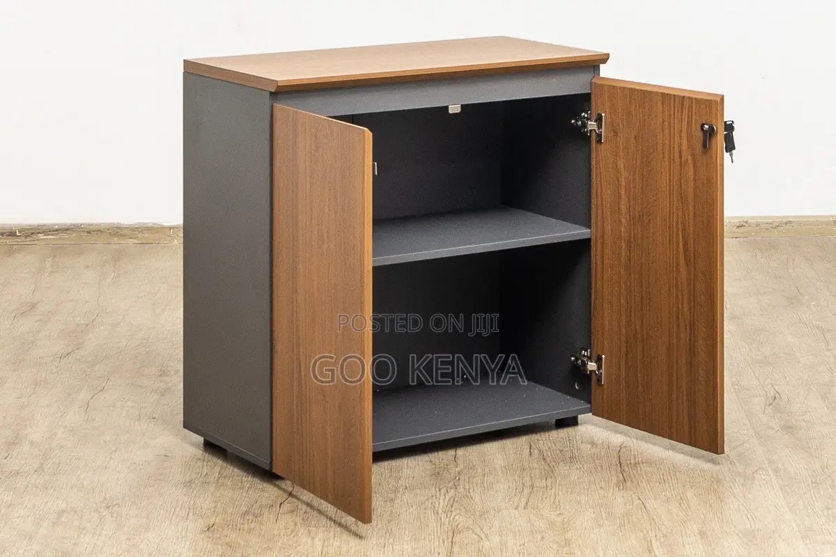 Office Cabinet ; Executive 2-Door Credenza Cupboard