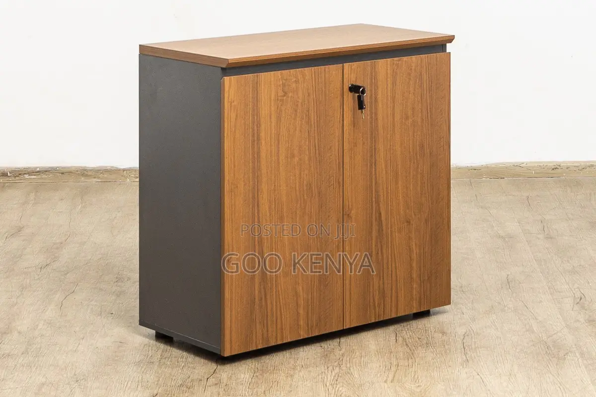 Office Cabinet ; Executive 2-Door Credenza Cupboard