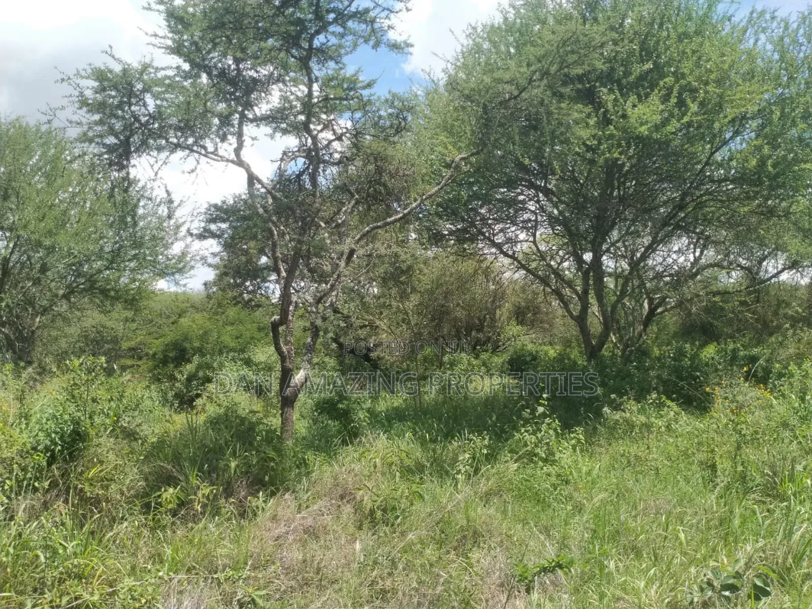 10.8 Acres With Unfinished Mansion Salama Sale Along Msa Rd