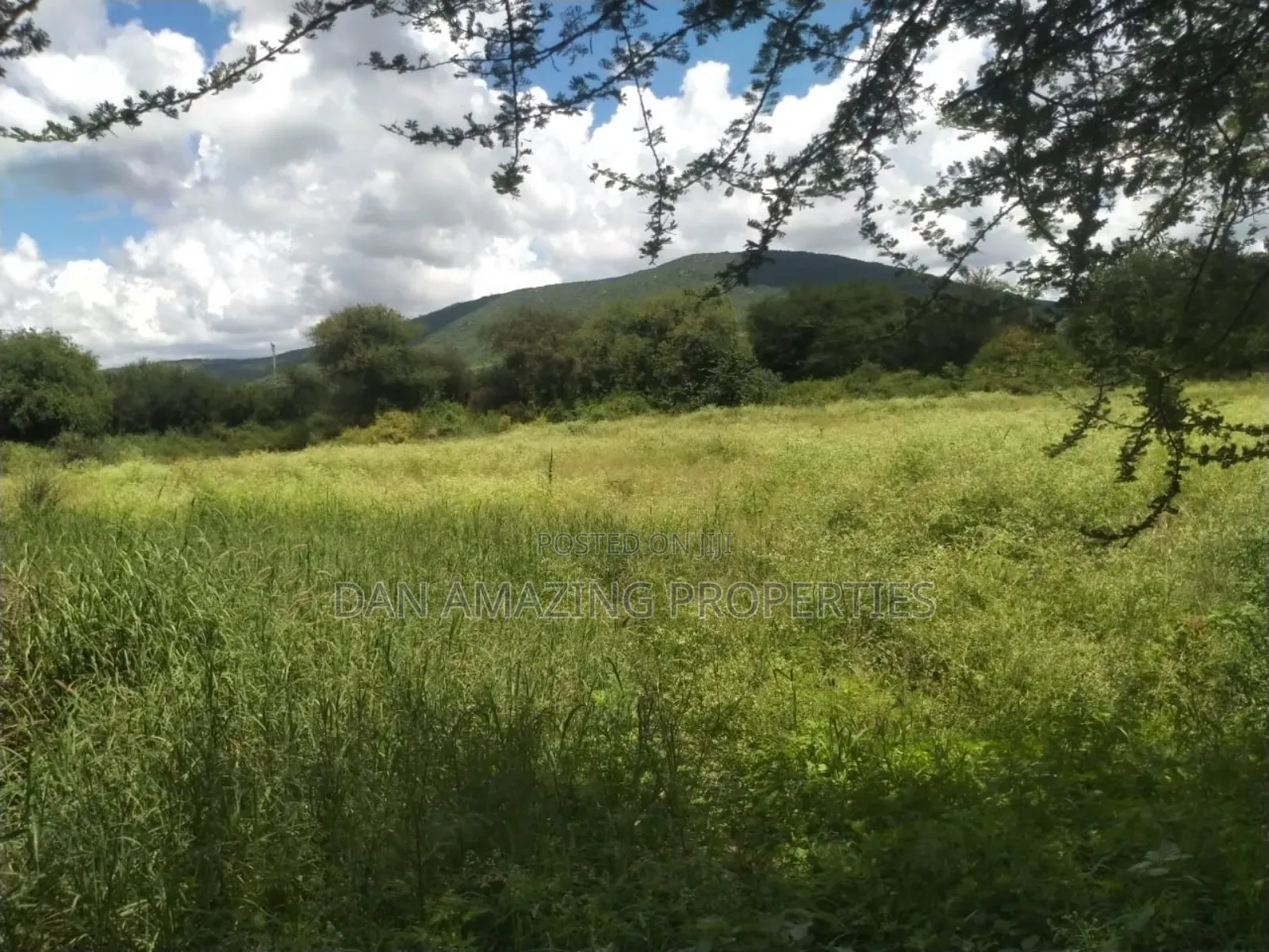 10.8 Acres With Unfinished Mansion Salama Sale Along Msa Rd