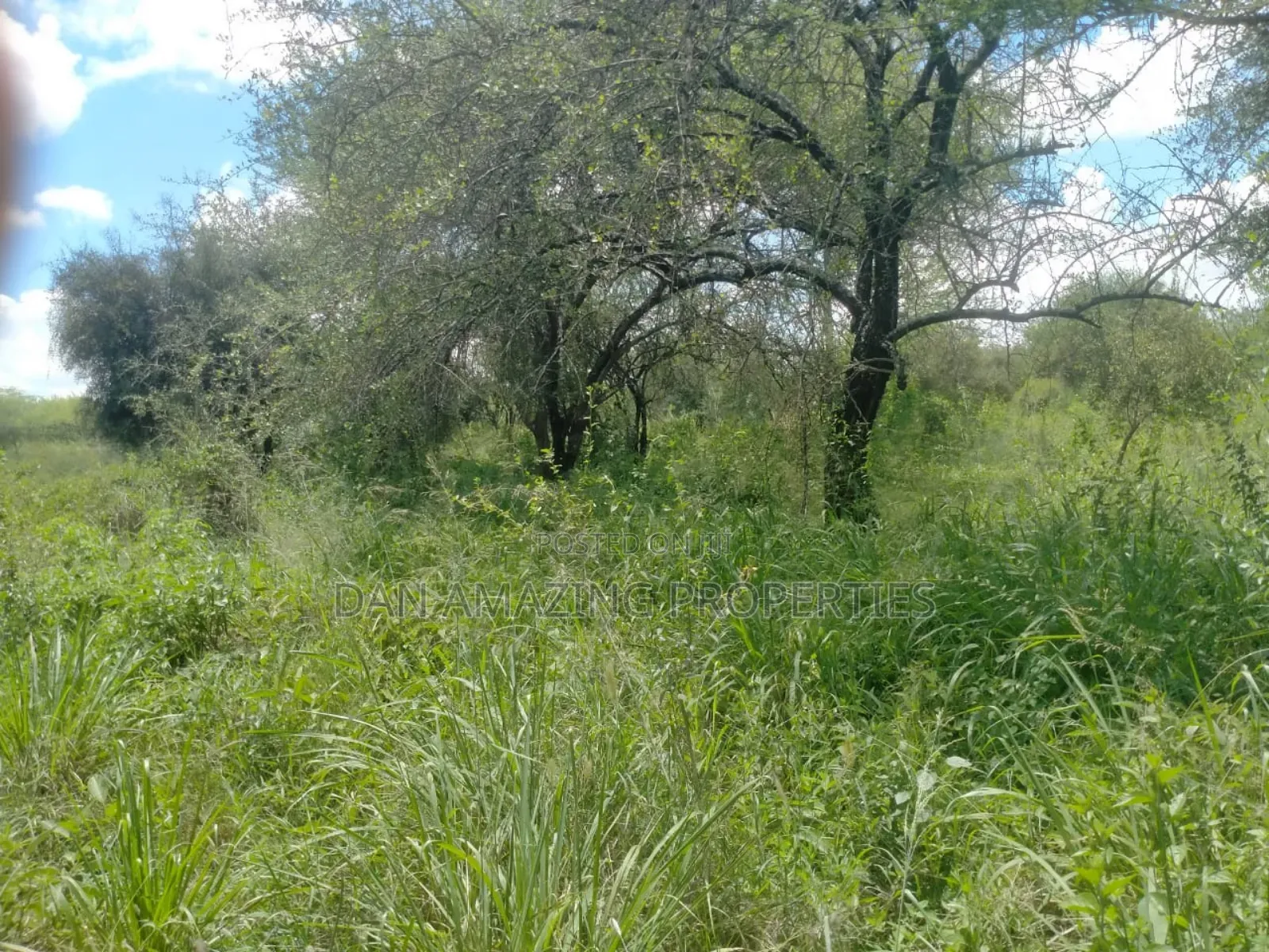10.8 Acres With Unfinished Mansion Salama Sale Along Msa Rd
