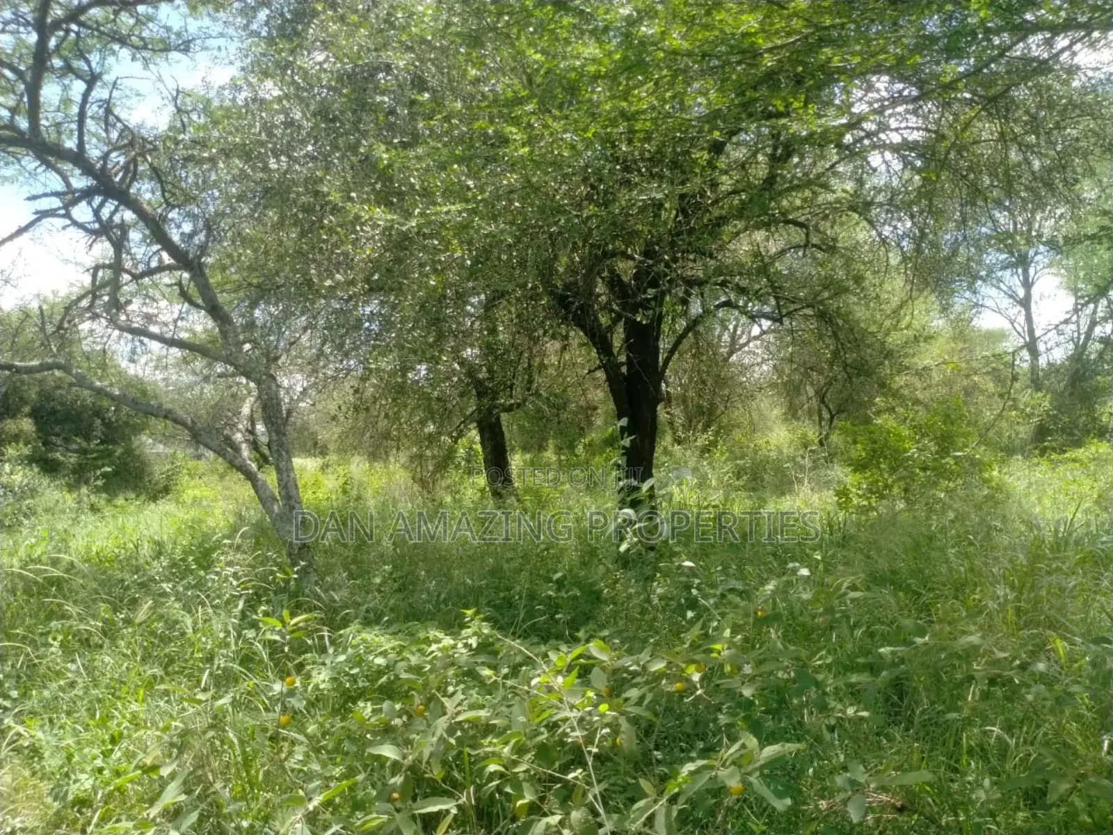 10.8 Acres With Unfinished Mansion Salama Sale Along Msa Rd