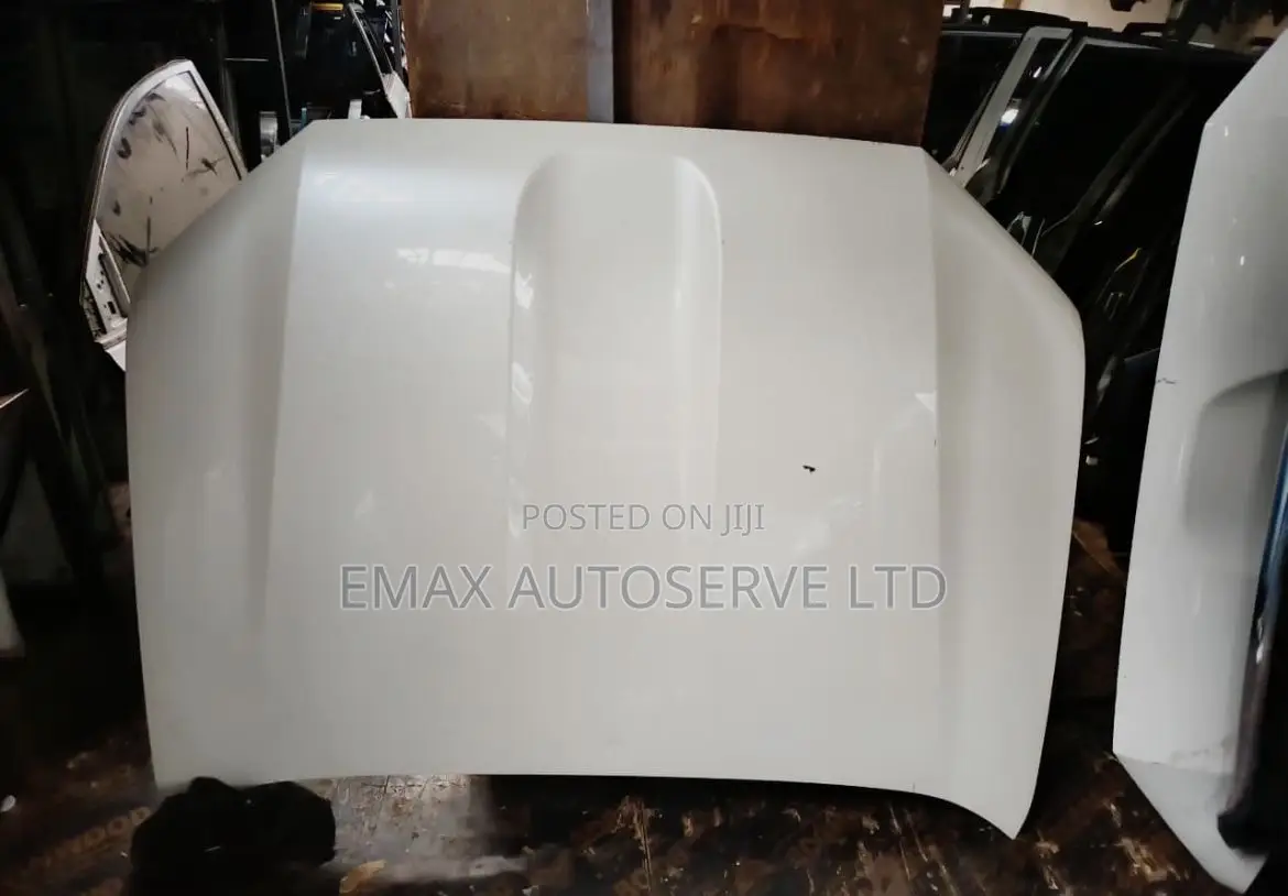 Prado 165 2018 Bonnet Ex Japan