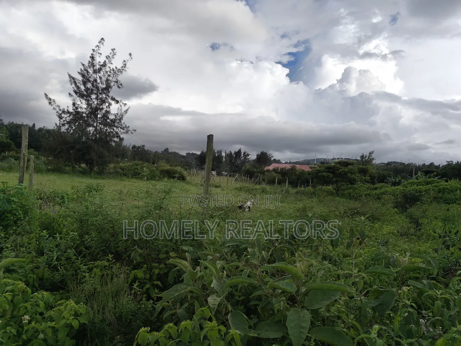 Large Eighth Acre (60*100) Plot in Ngong Along Maragara Road