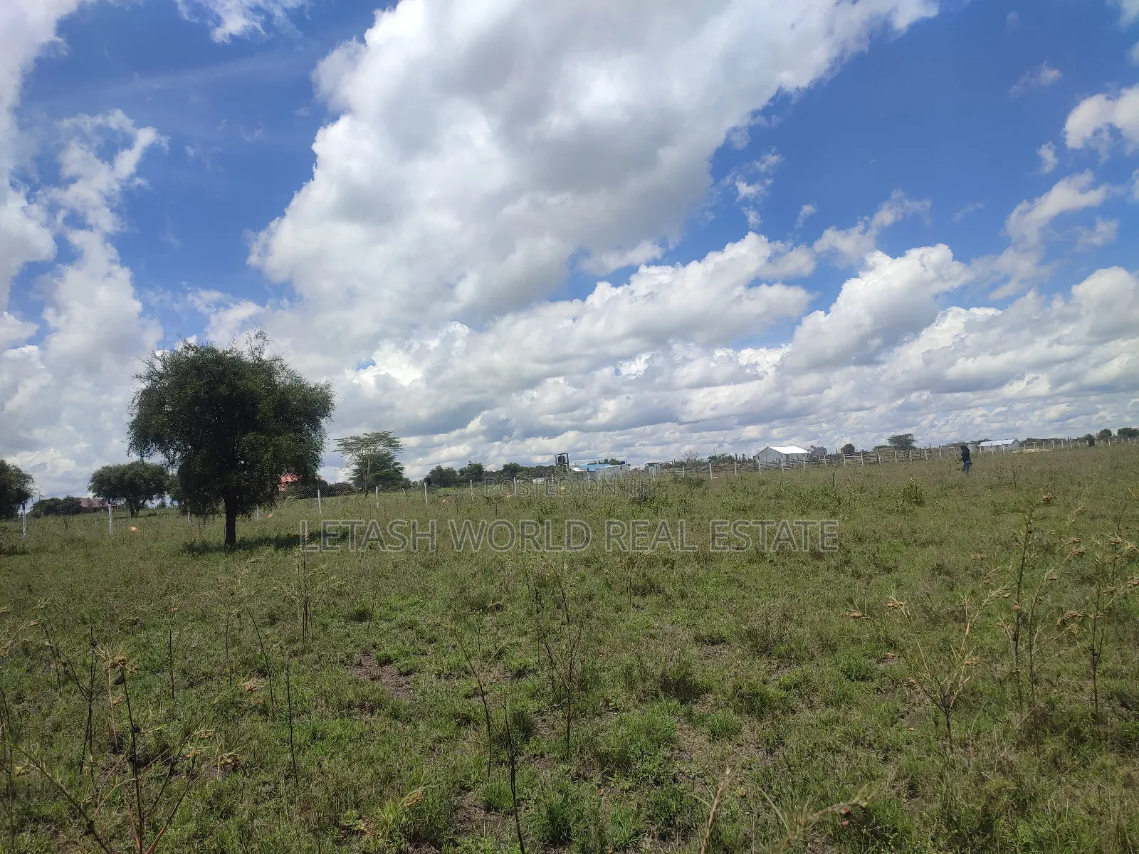 Invest in Kitengela Plains 2 for 1.49 Million