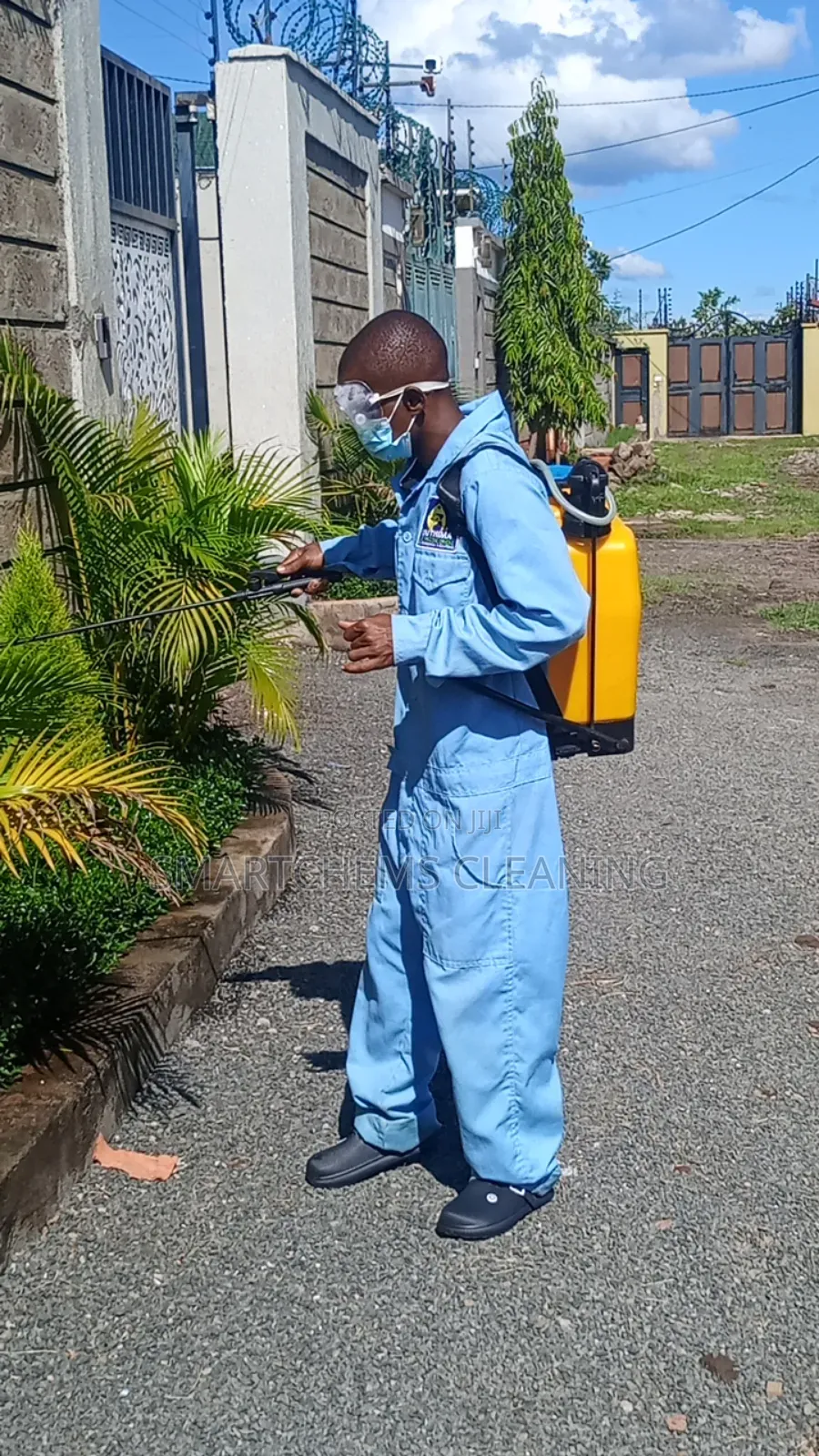 Snake Control Services in Compounds