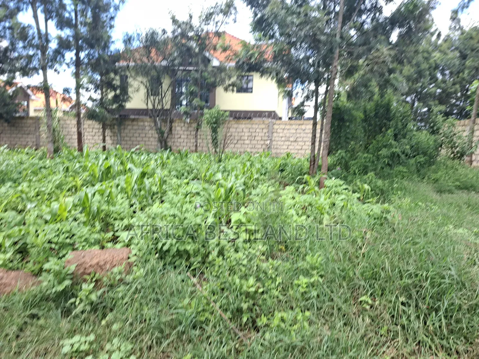 50x100 Available Plot for Sale in Kikuyu Gikambura