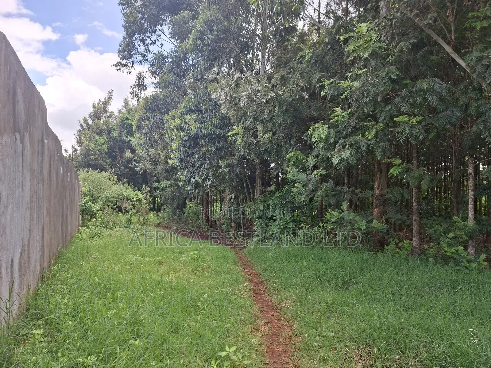 50x100 Available Plot for Sale in Kikuyu Gikambura