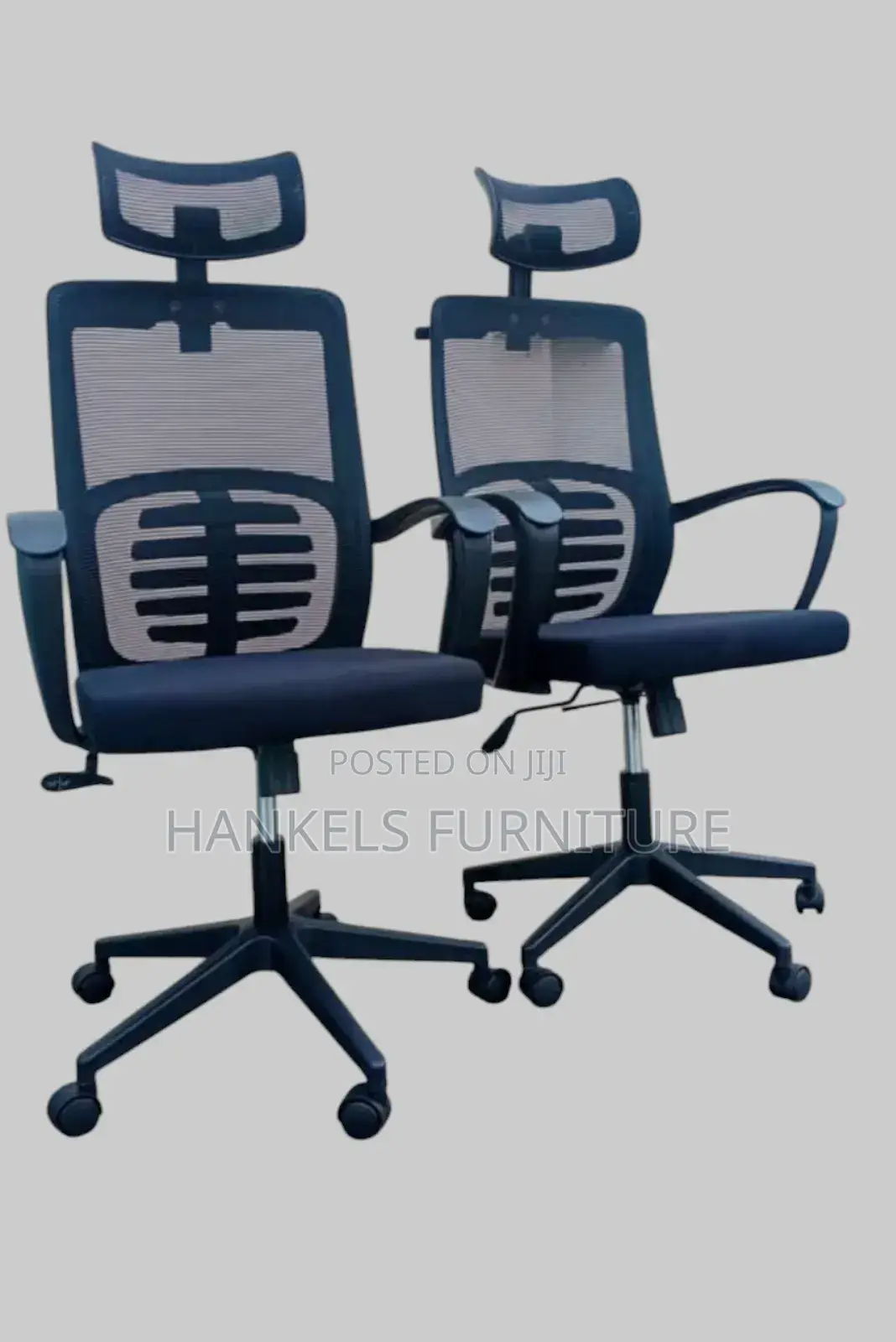 Orthopedic Mesh Back Chair