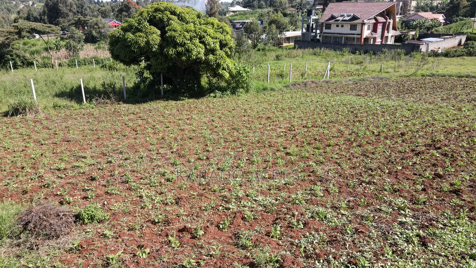 1/8 of an Acre Pieces Ondiri Kikuyu at 4m