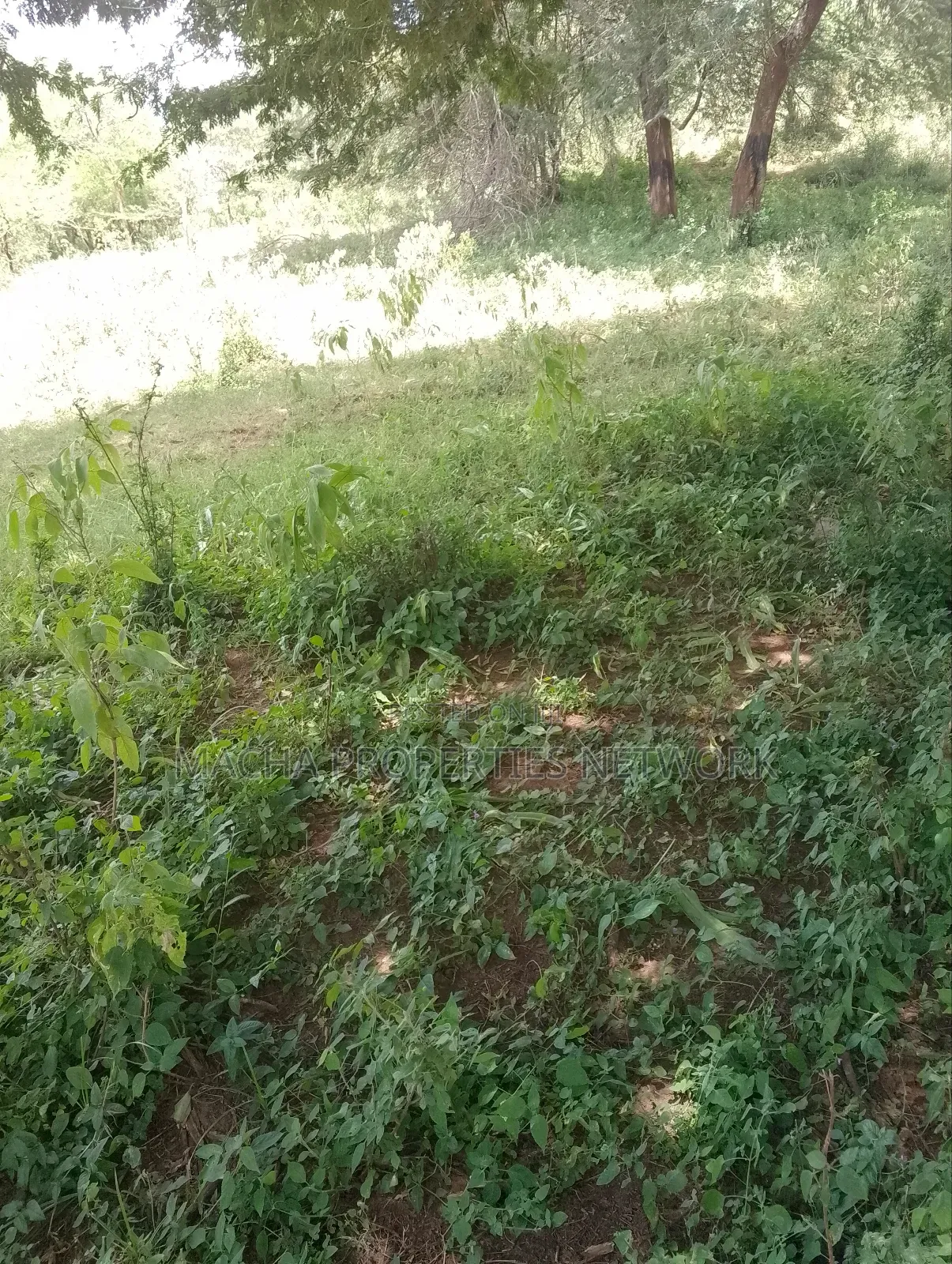 Land -22 Acres.Machakos