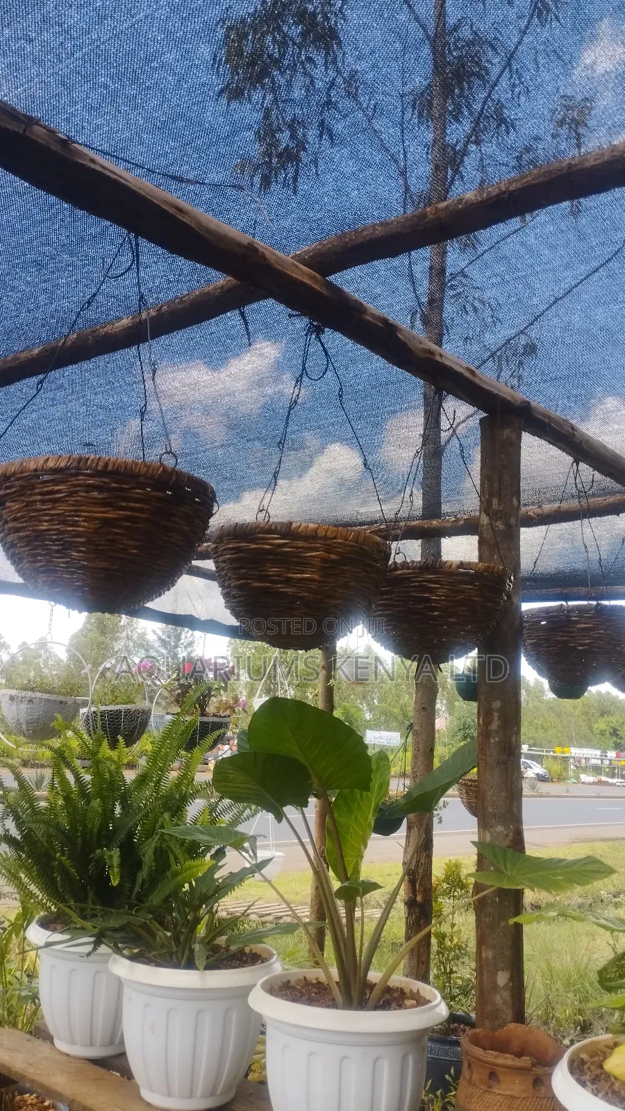 Hanging Basket Made of Makuti