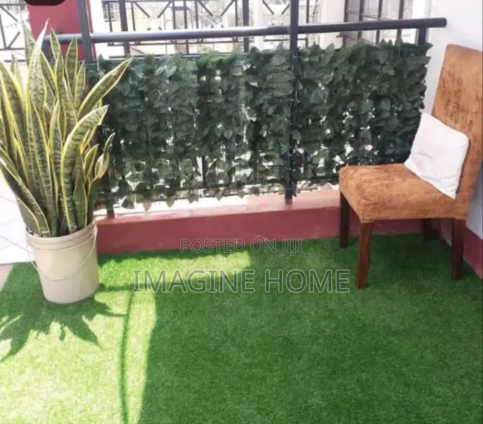 Green Fences and Grass Carpet
