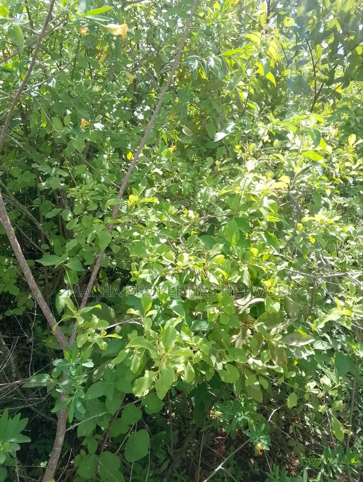 Machakos Land for Sale -1,2 ,3 ,4 or 5 Acre's