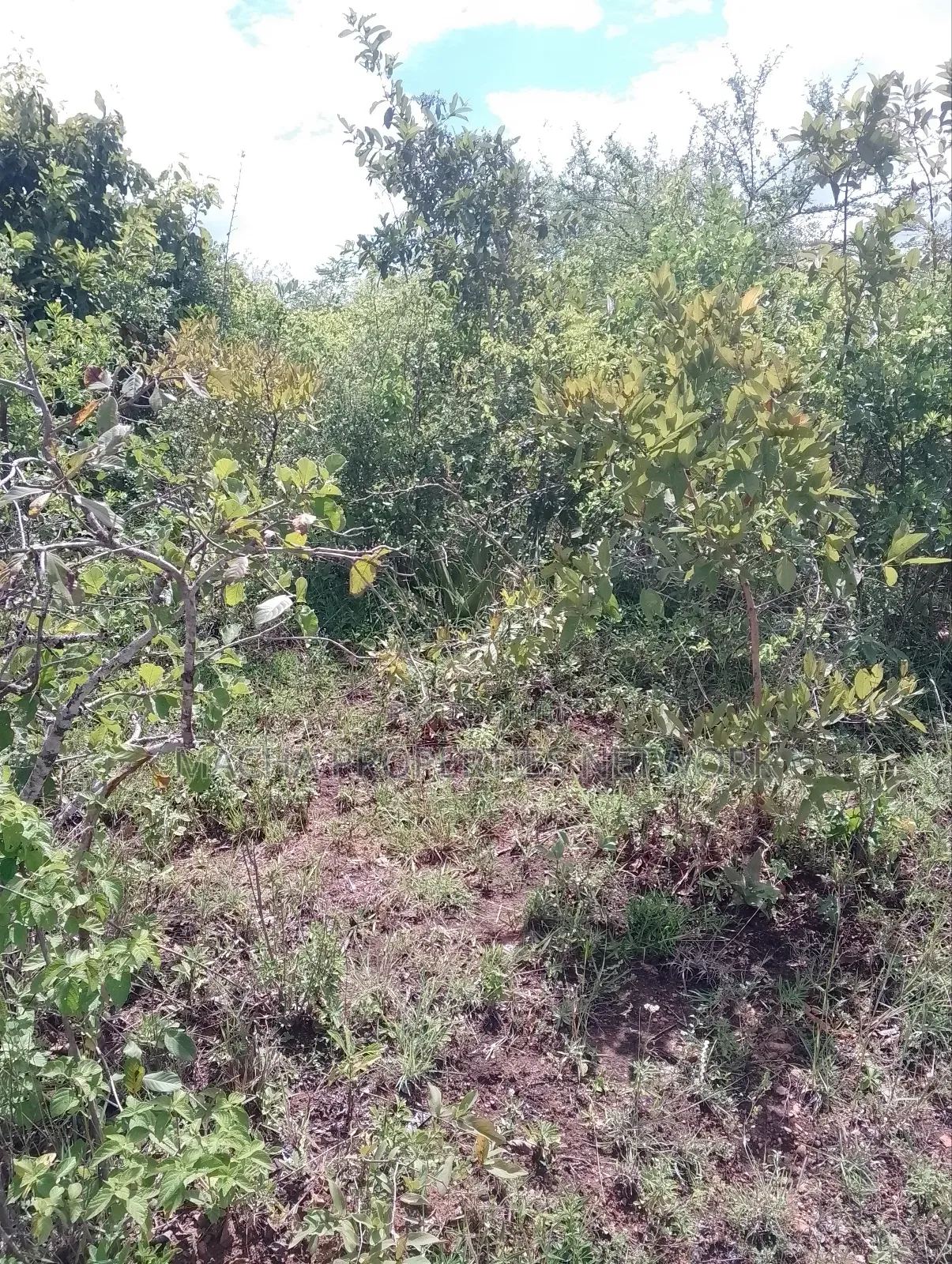 Machakos Land for Sale -1,2 ,3 ,4 or 5 Acre's