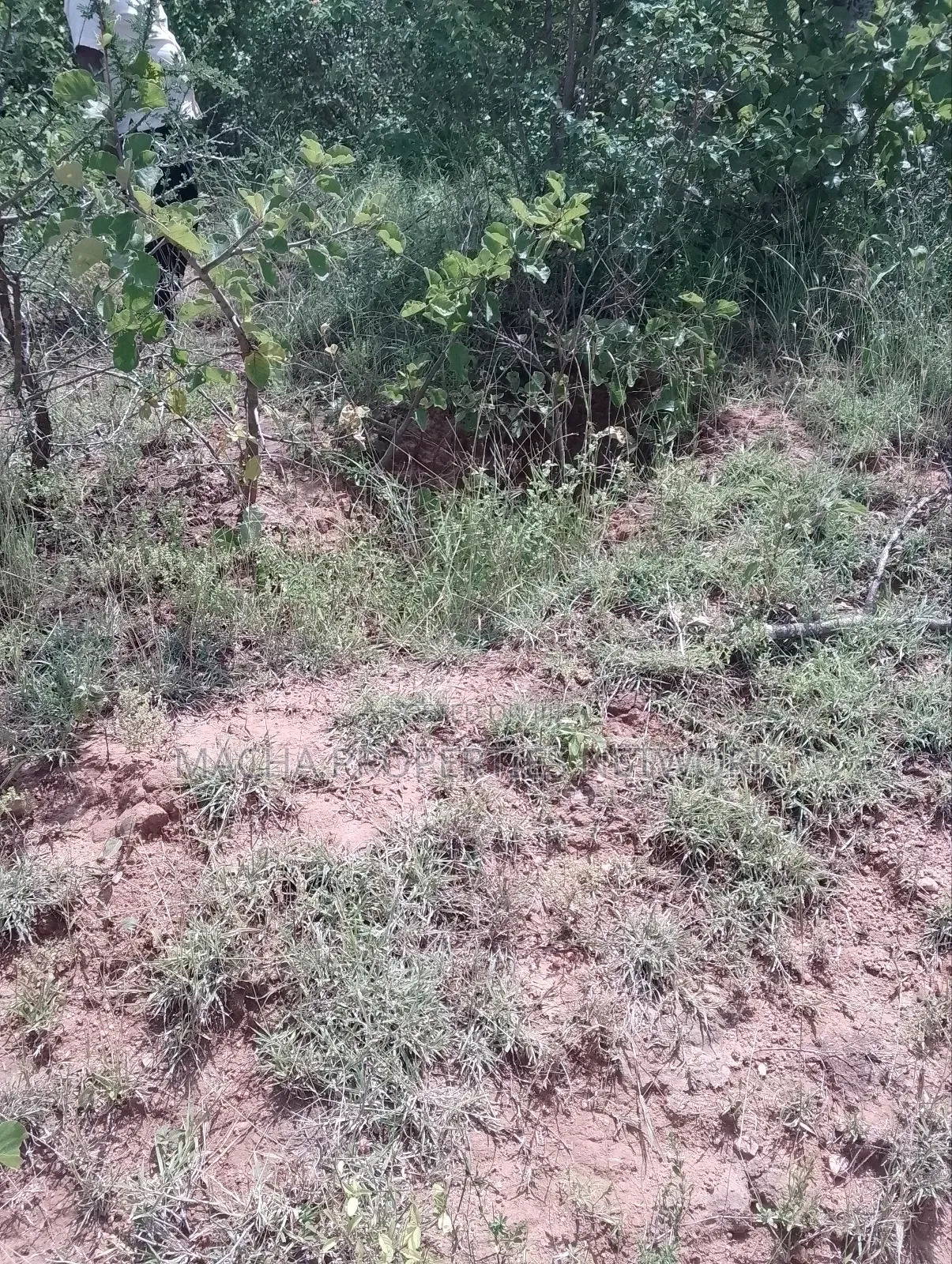 Machakos Land for Sale -1,2 ,3 ,4 or 5 Acre's
