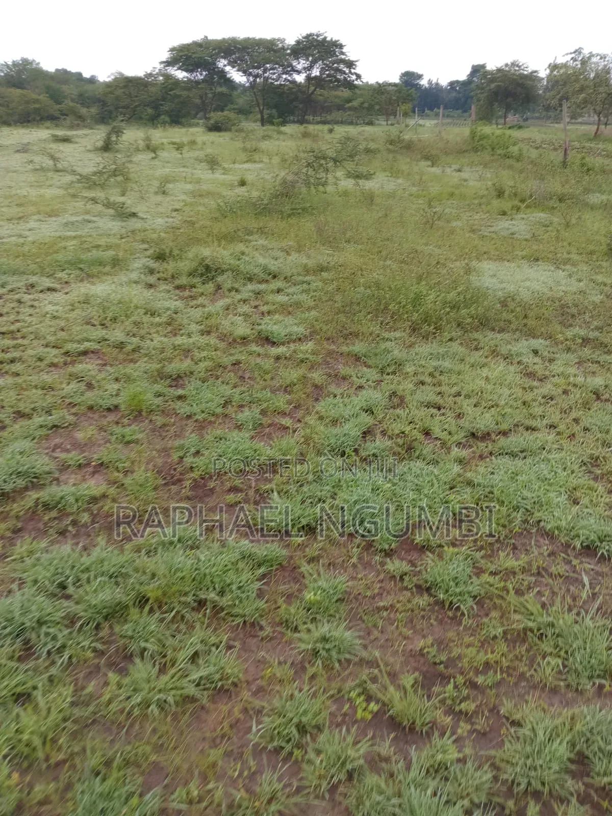 Two (2) Acres Mbiuni Mwala