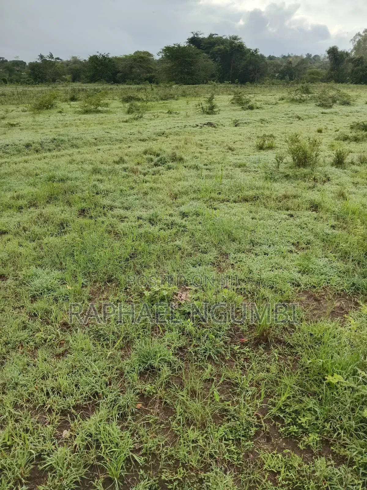 Two (2) Acres Mbiuni Mwala