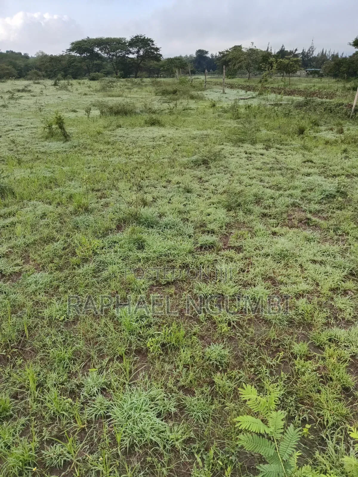 Two (2) Acres Mbiuni Mwala