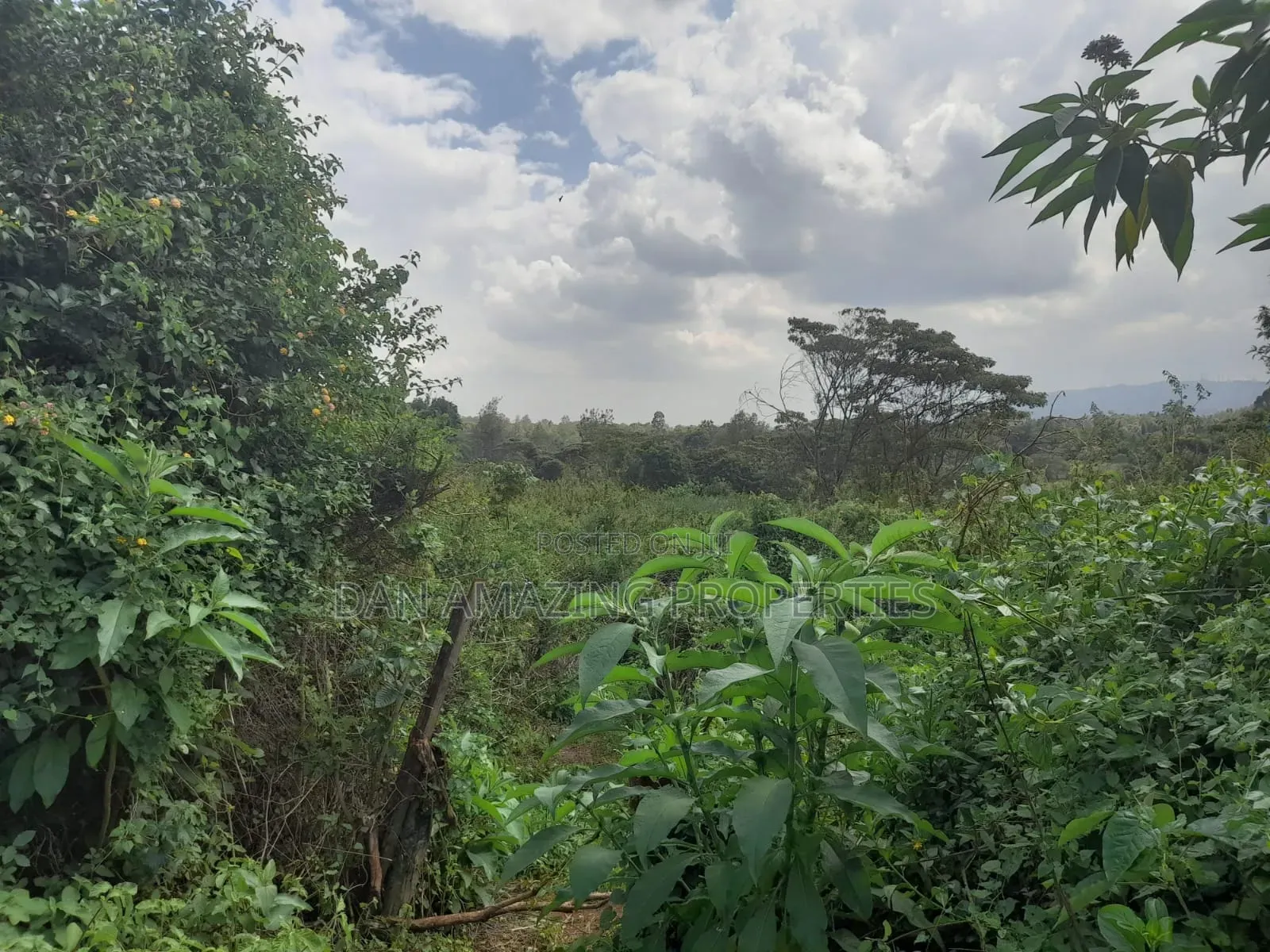 5 Acres Virgin Land for Sale in Karen Resurrection Area