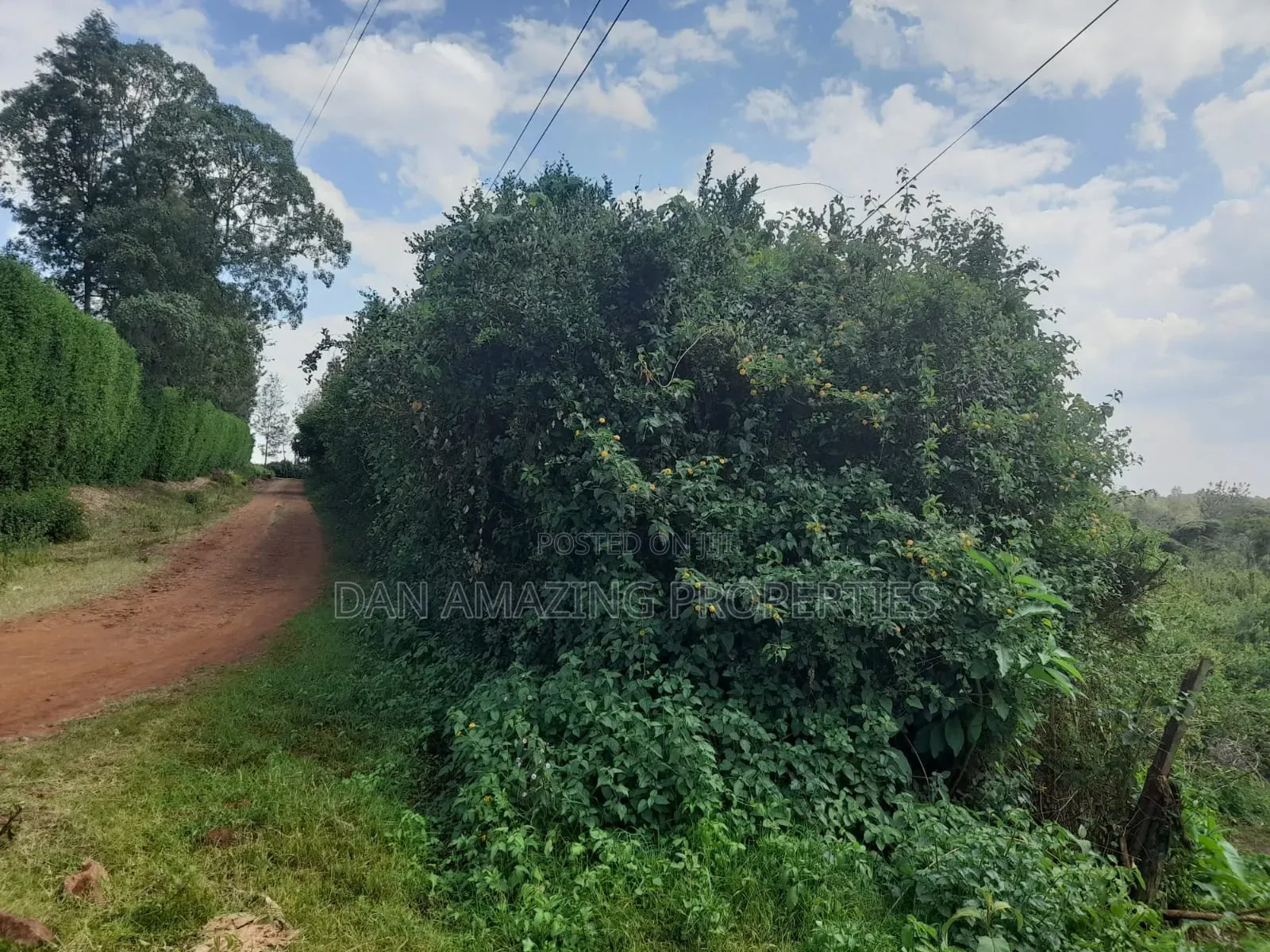 5 Acres Virgin Land for Sale in Karen Resurrection Area