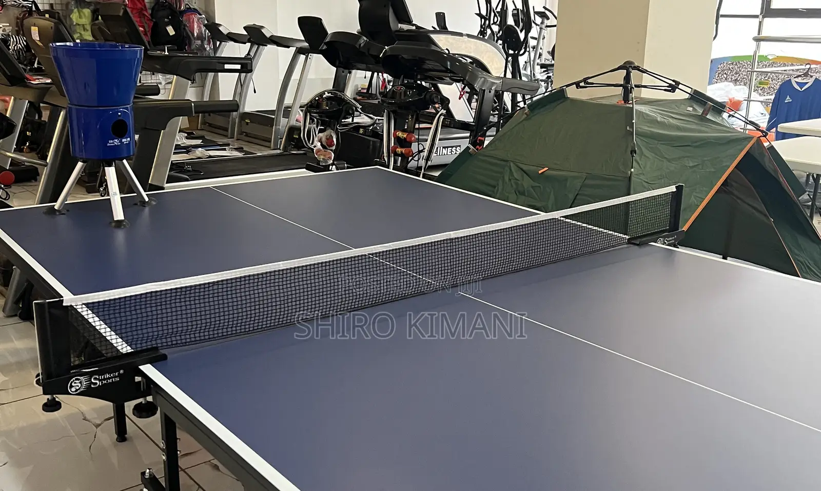 Perfect Big Table Tennis for Your Family