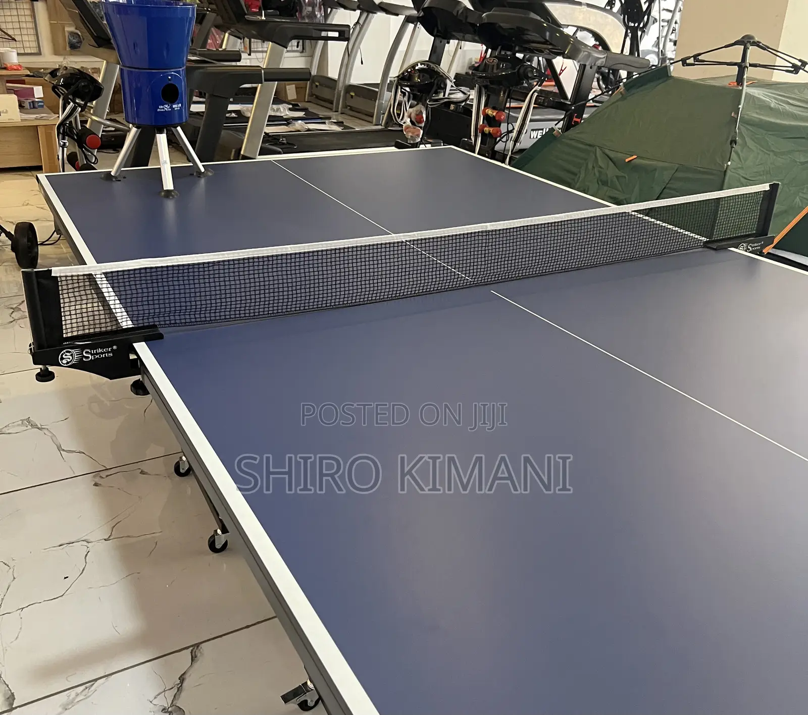 Perfect Big Table Tennis for Your Family