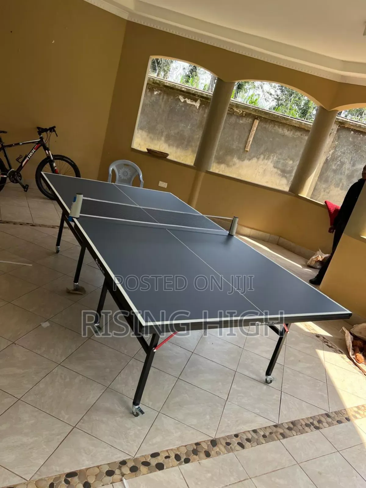 Foldable Table Tennis With Net and 2 Bats