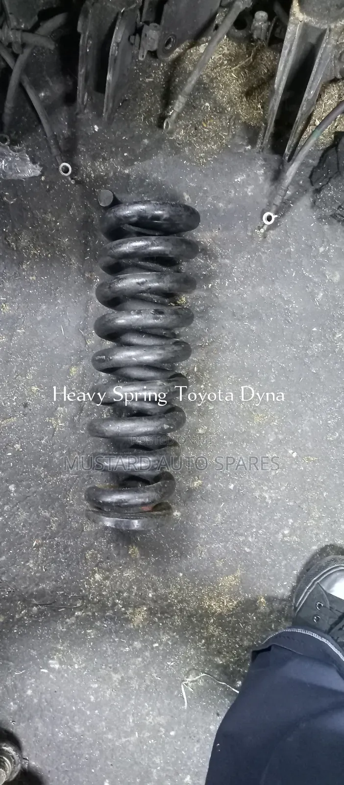 Heavy Duty Springs Toyota Dyna, Probox,