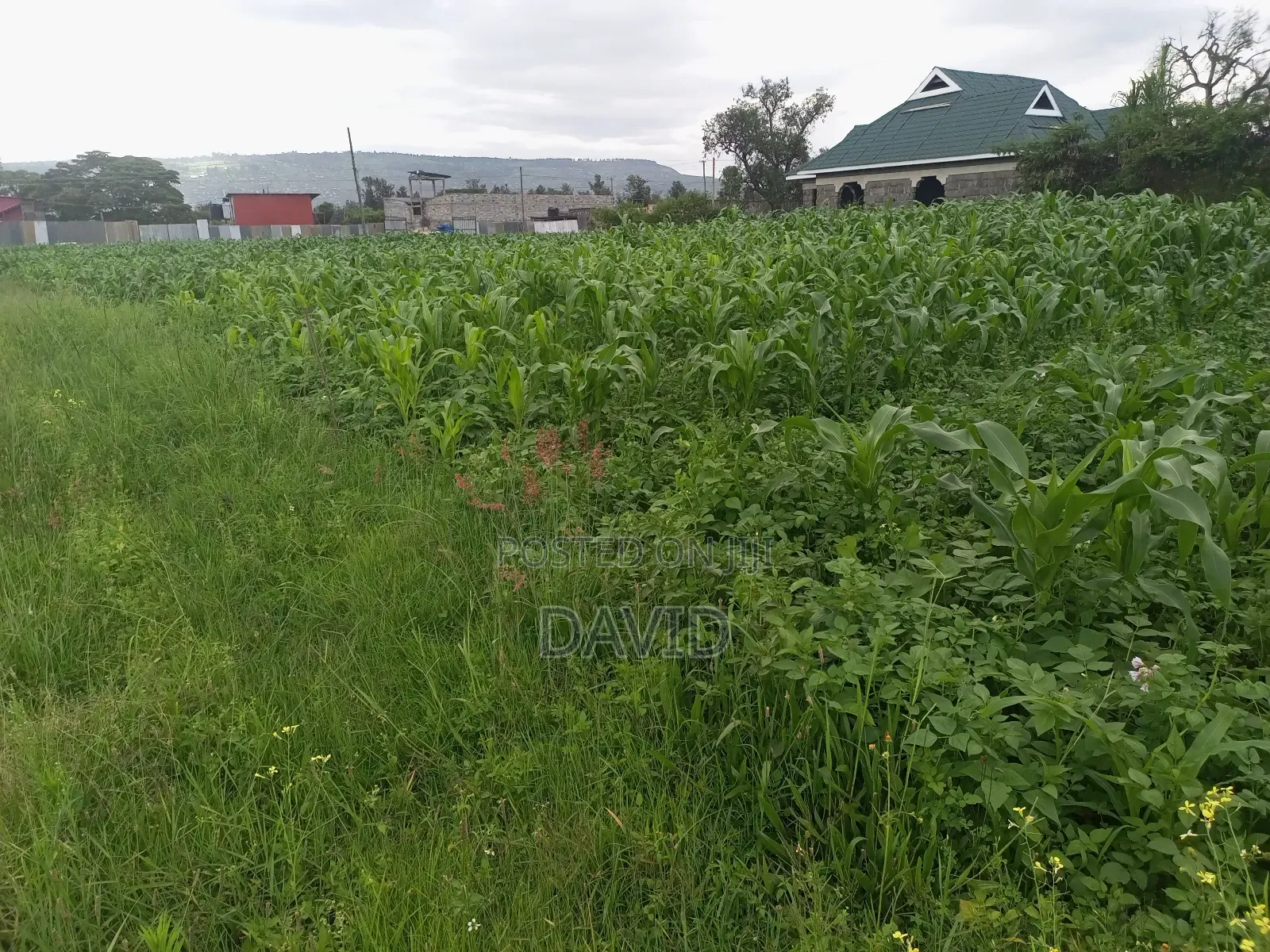 Plot for Sale in Lower Mawanga ( Baraka)