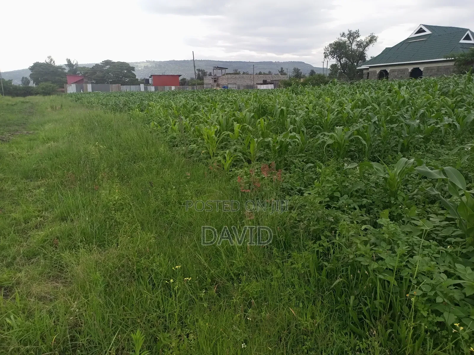 Plot for Sale in Lower Mawanga ( Baraka)
