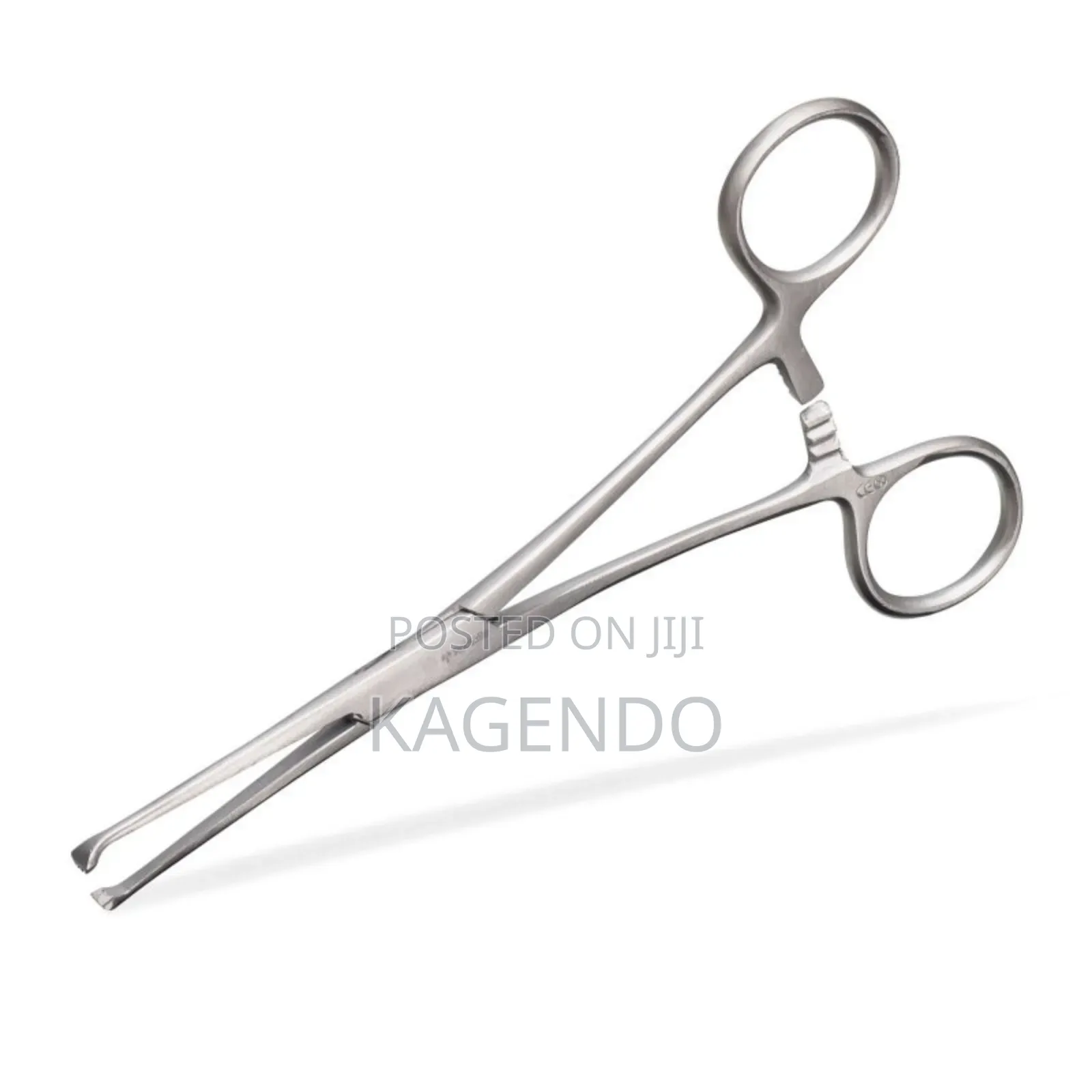 Long Toothed Artery Forceps