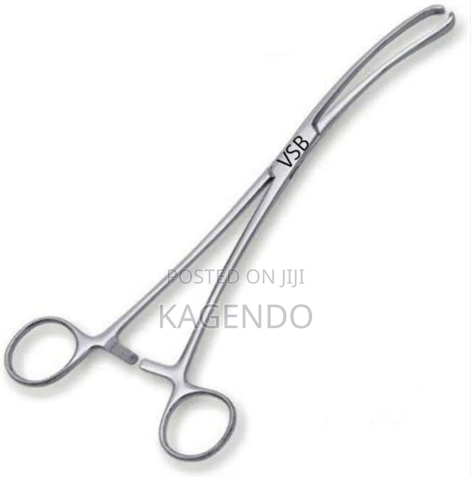 Vasculum Forceps