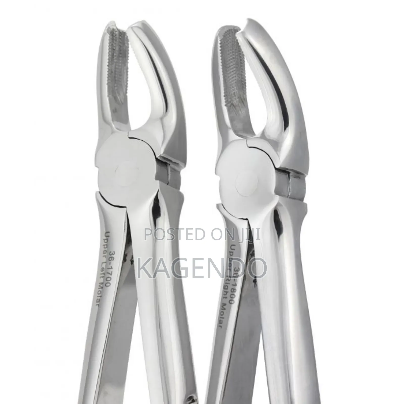 Upper Anterior Forceps