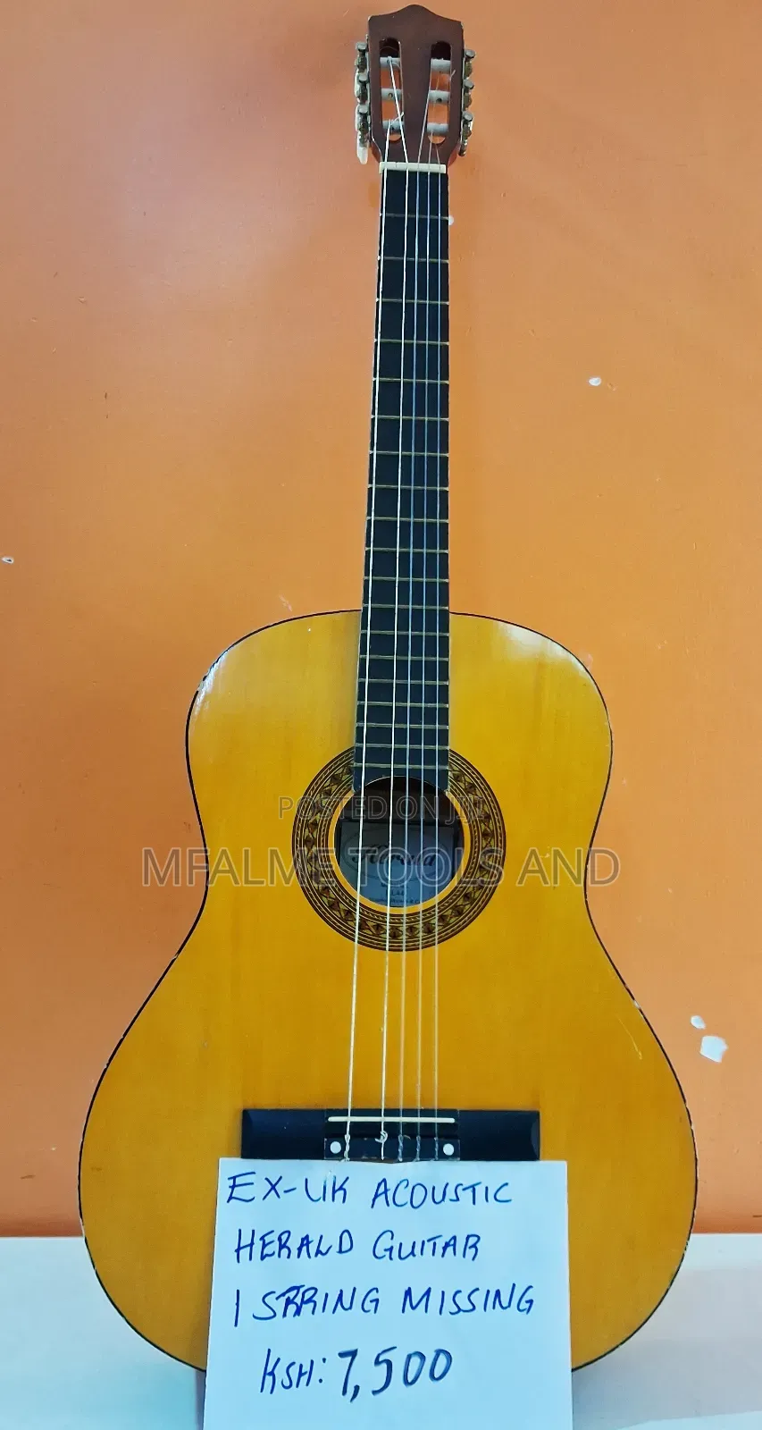 Acoustic Guitar