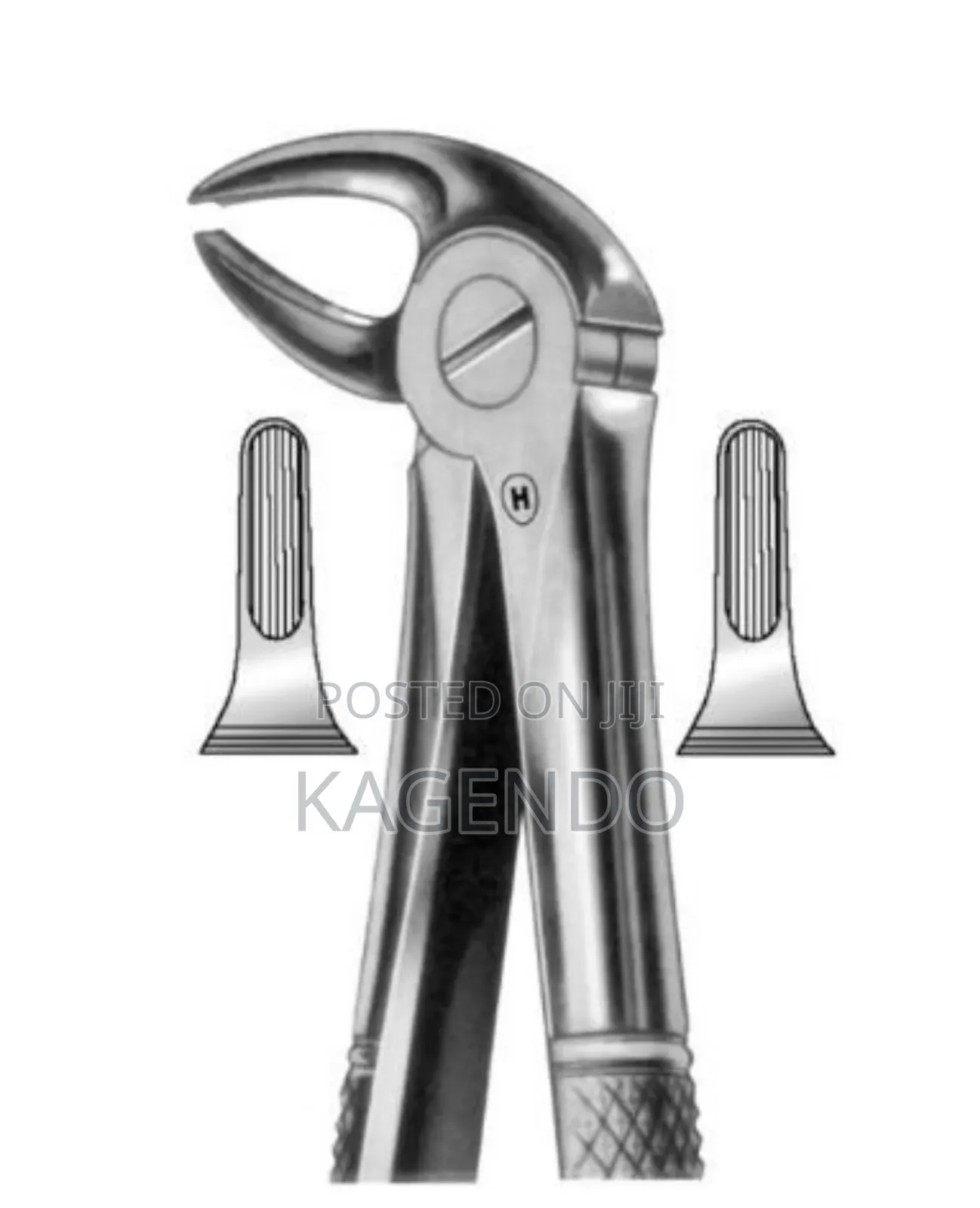 Lower Premolar Forceps