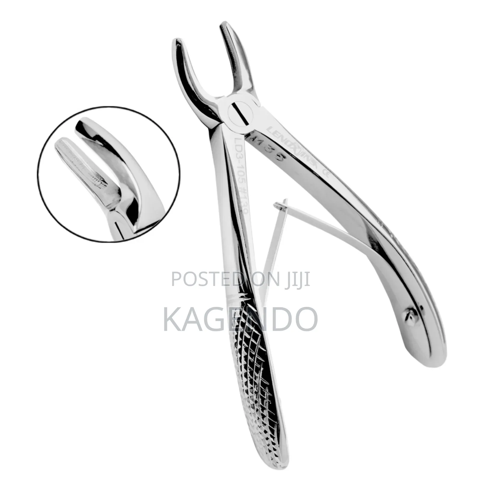 Upper Premolar Forceps
