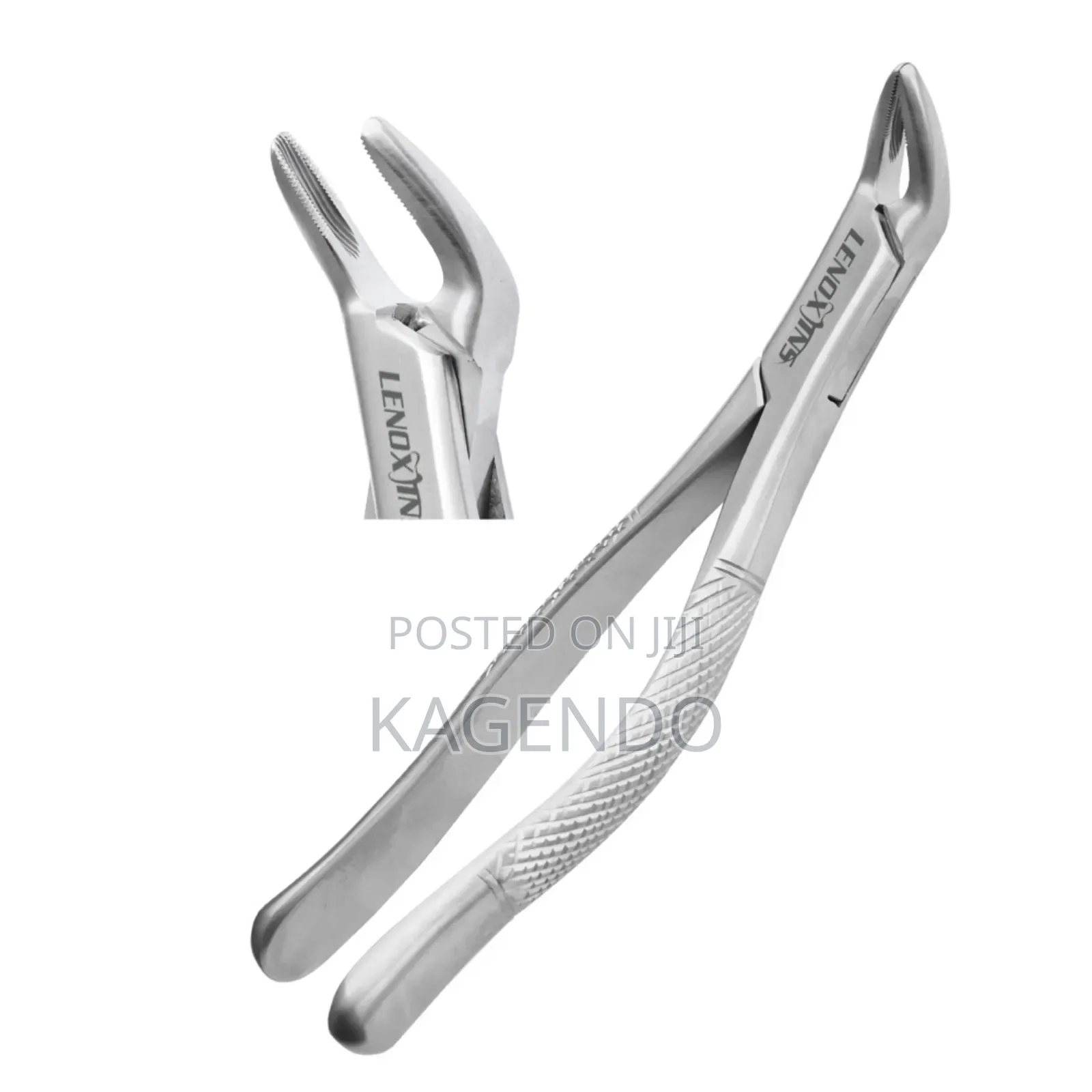 Lower Anterior Forceps Paediatric