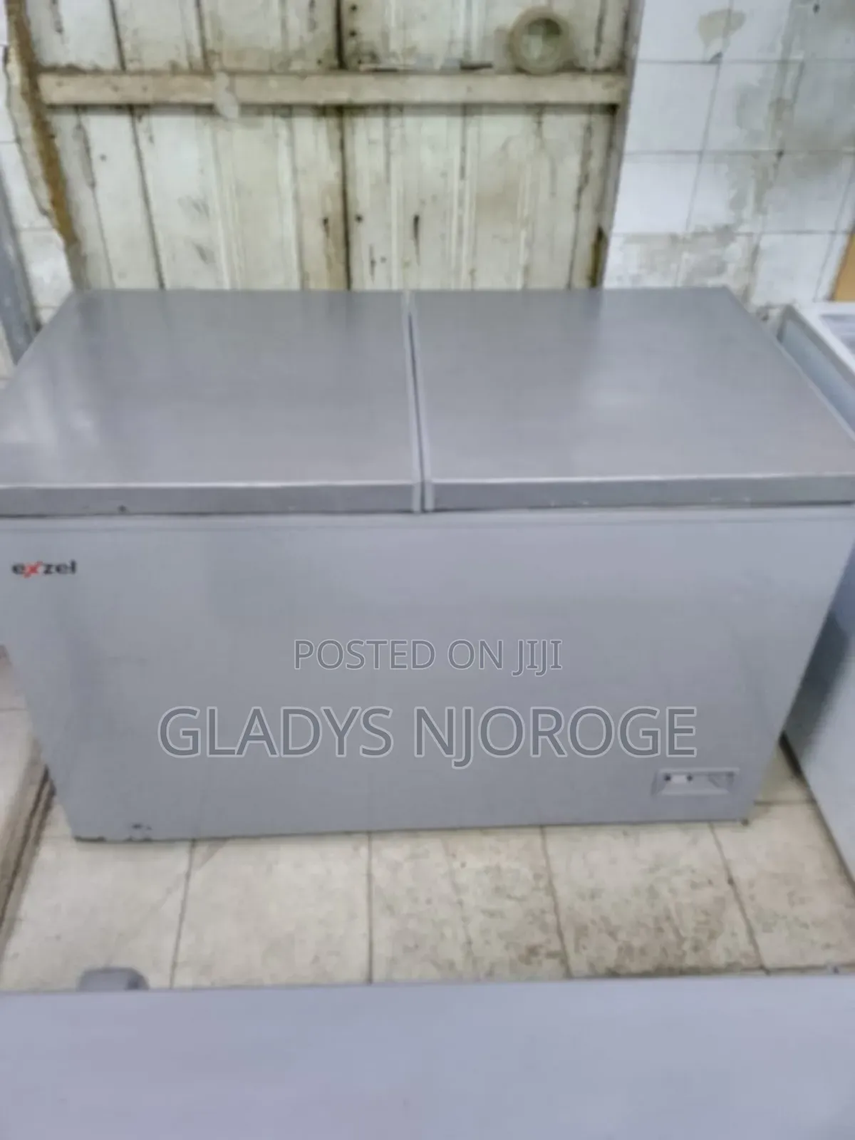 Ezzel Deep Freezer Fridge 500l