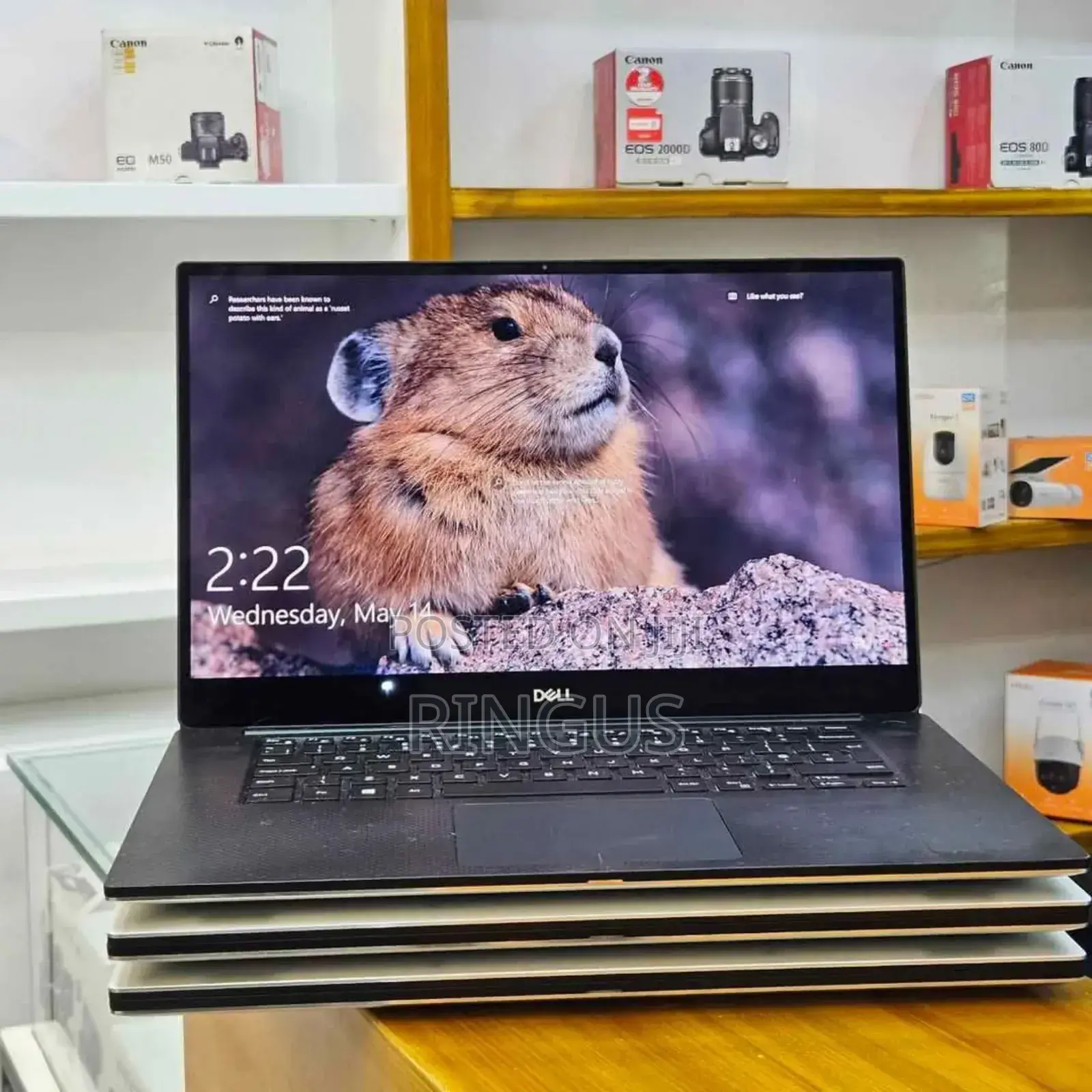 Laptop Dell XPS 15 9570 16GB Intel Core i9 SSD 512GB