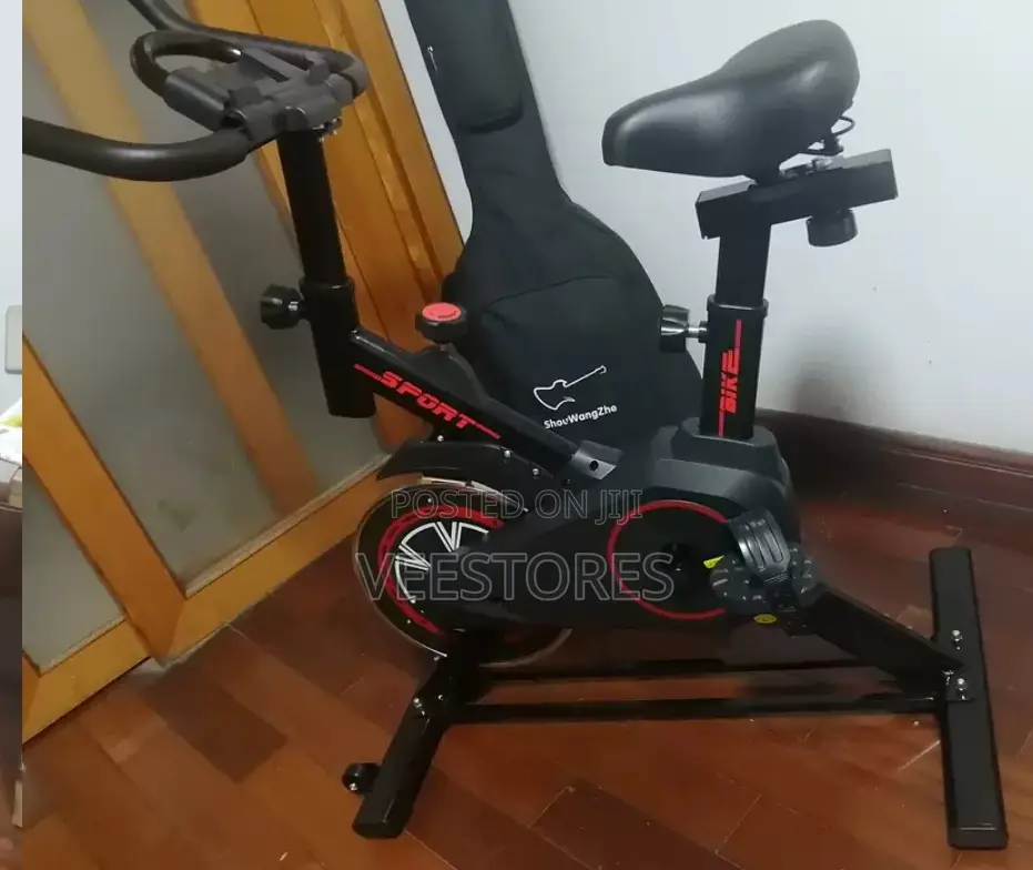 Professional Exercise Bike