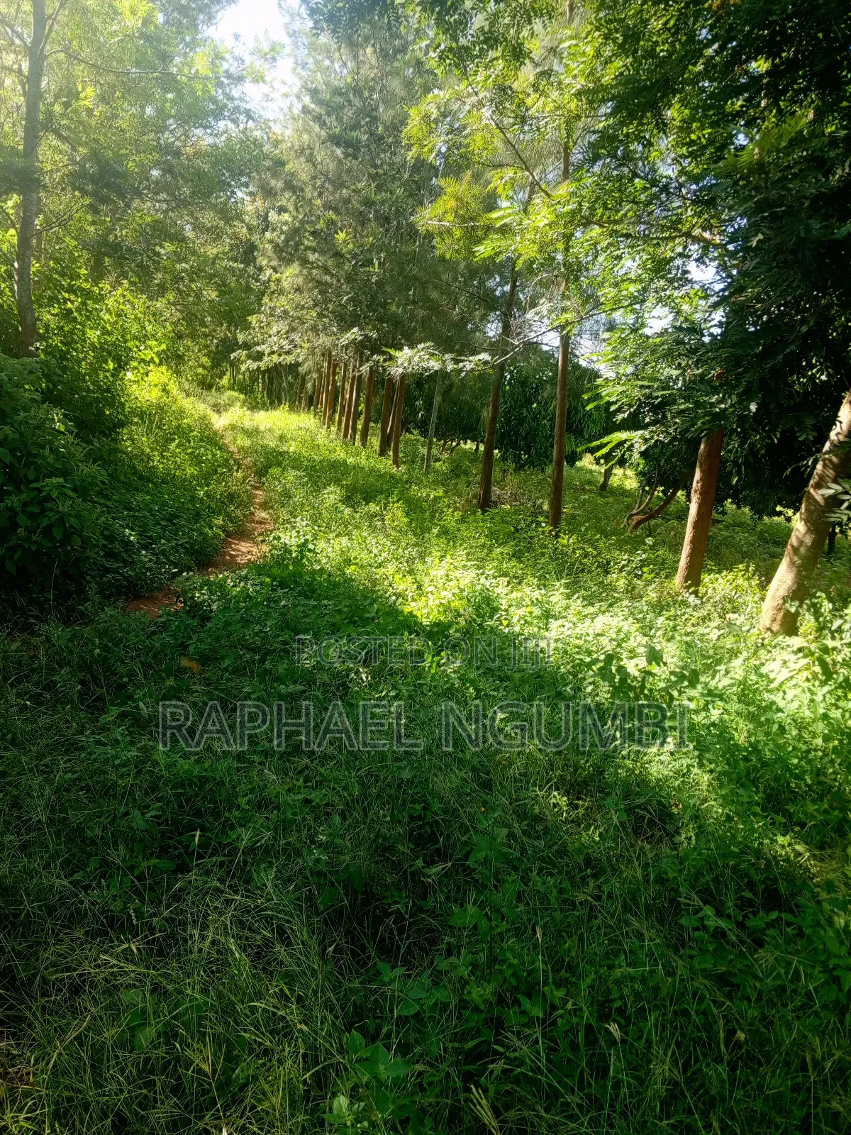 15 Acres at Masii Mwala Musaalani