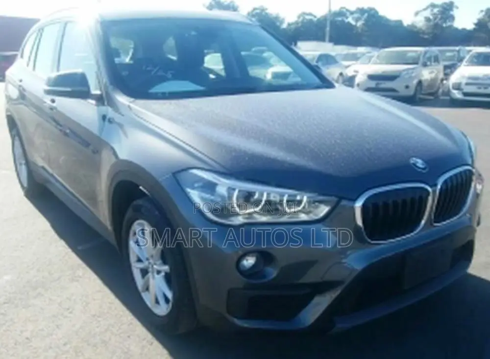 BMW X1 2019 Gray
