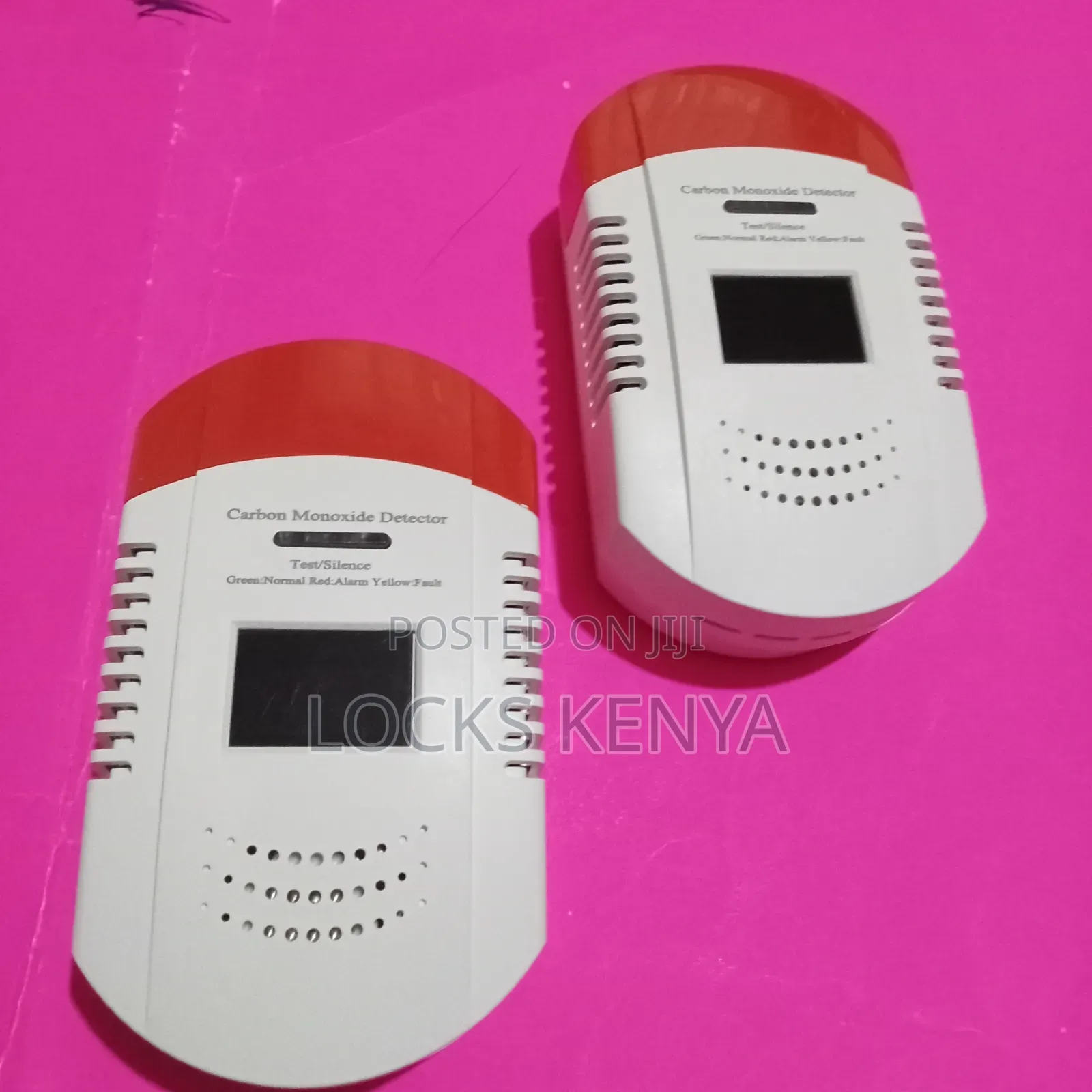 Portable Carbon Monoxide Detector
