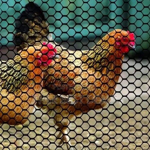 Quality Poultry Mesh