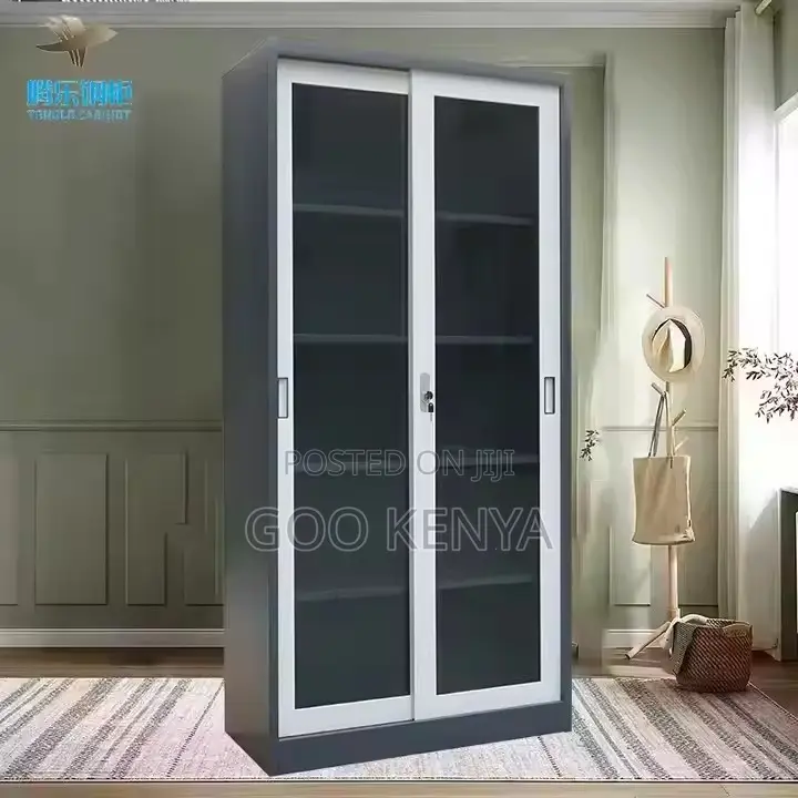 Cabinet ; Full-Height Mirror Shallow Metal Class Cabinet