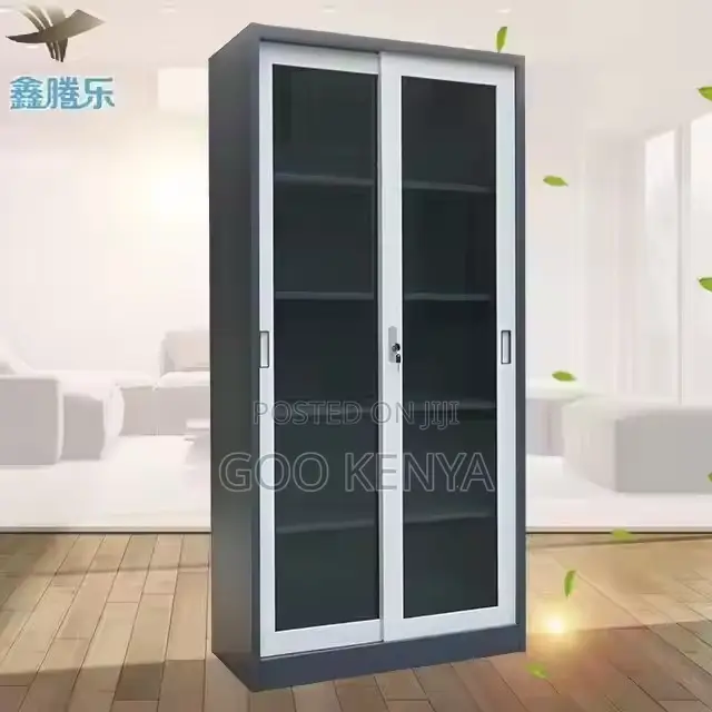 Cabinet ; Full-Height Mirror Shallow Metal Class Cabinet