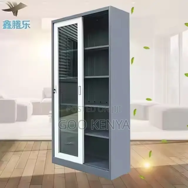 Cabinet ; Full-Height Mirror Shallow Metal Class Cabinet