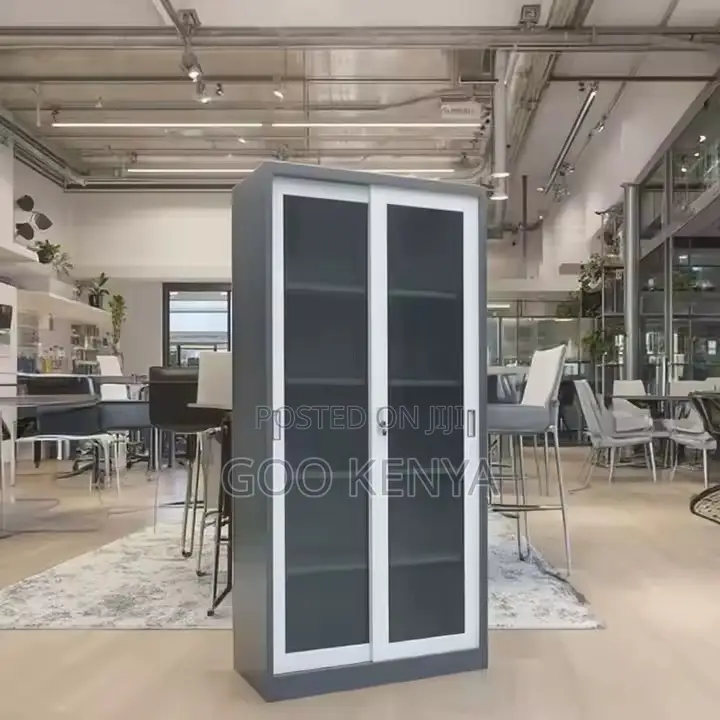 Cabinet ; Full-Height Mirror Shallow Metal Class Cabinet