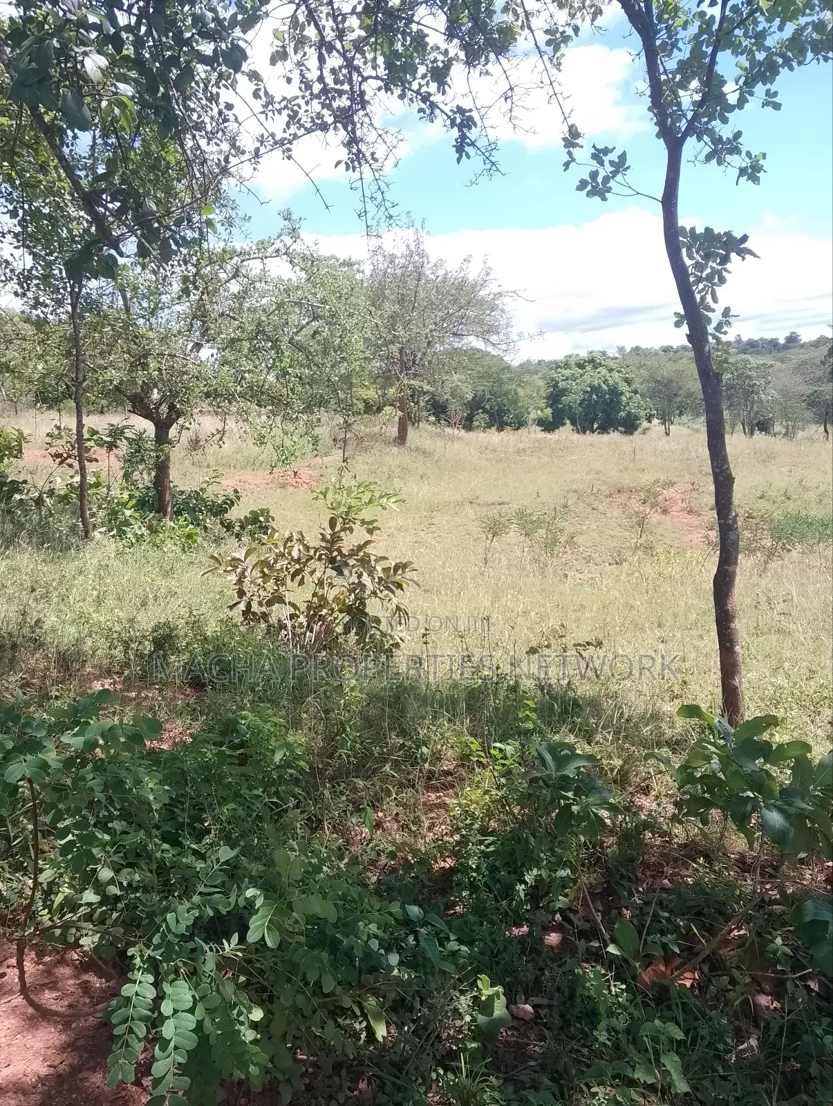 Masii-Kaingutu 6 Acres Red Soil.